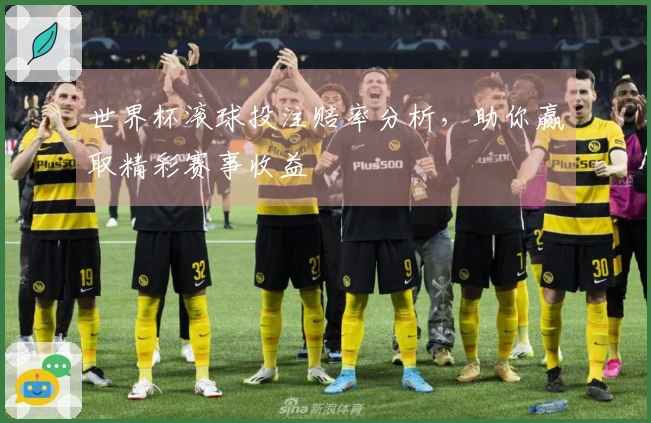 世界杯滚球投注赔率分析，助你赢取精彩赛事收益