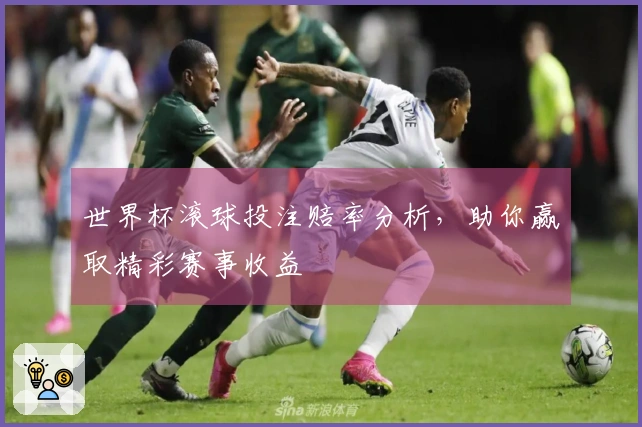 世界杯滚球投注赔率分析，助你赢取精彩赛事收益