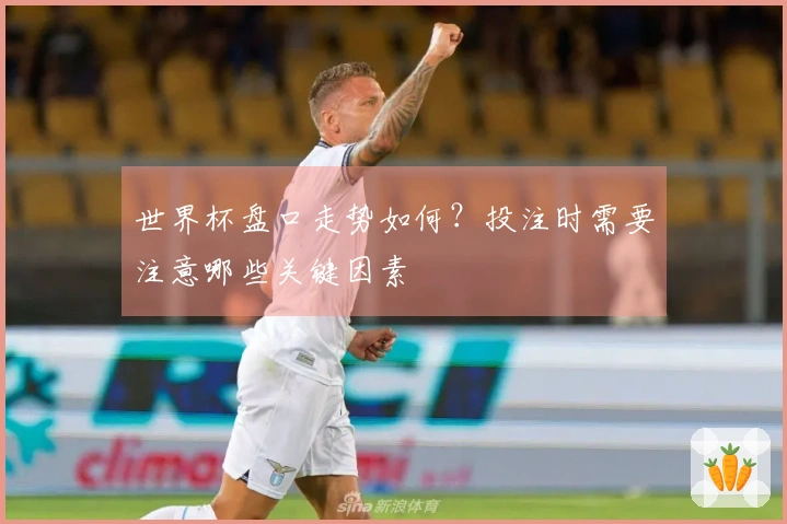 世界杯盘口走势如何？投注时需要注意哪些关键因素
